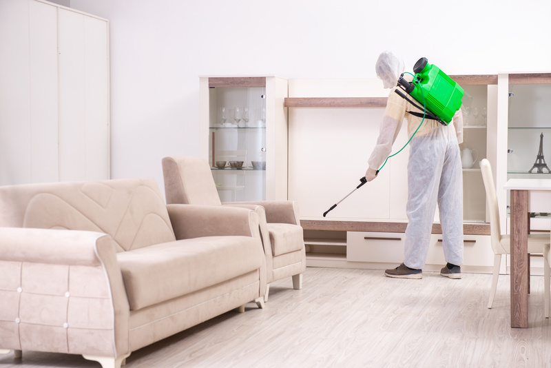 Dezynsekcja mieszkania - jak przygotować mieszkanie, jak wygląda zabieg -  Insektpol Pest Control