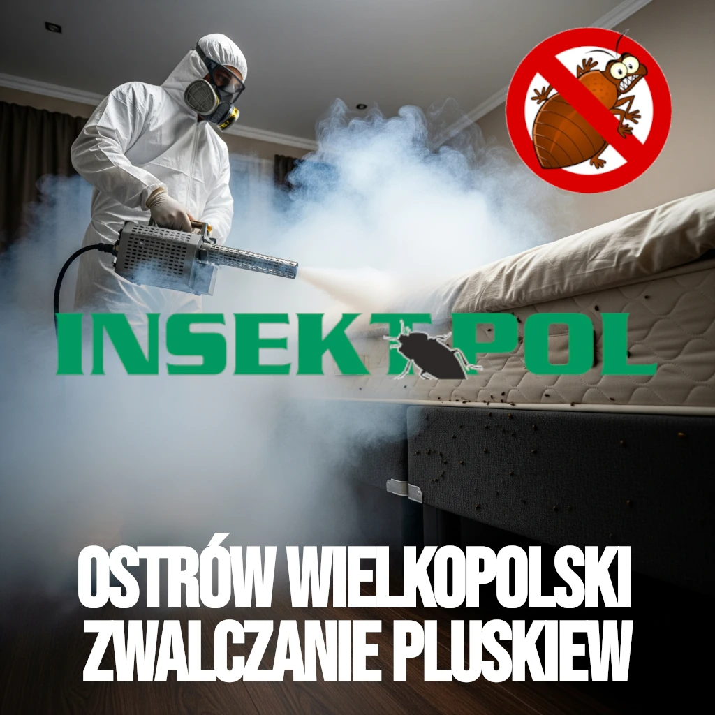ostrów wielkopolski zwalczanie pluskiew