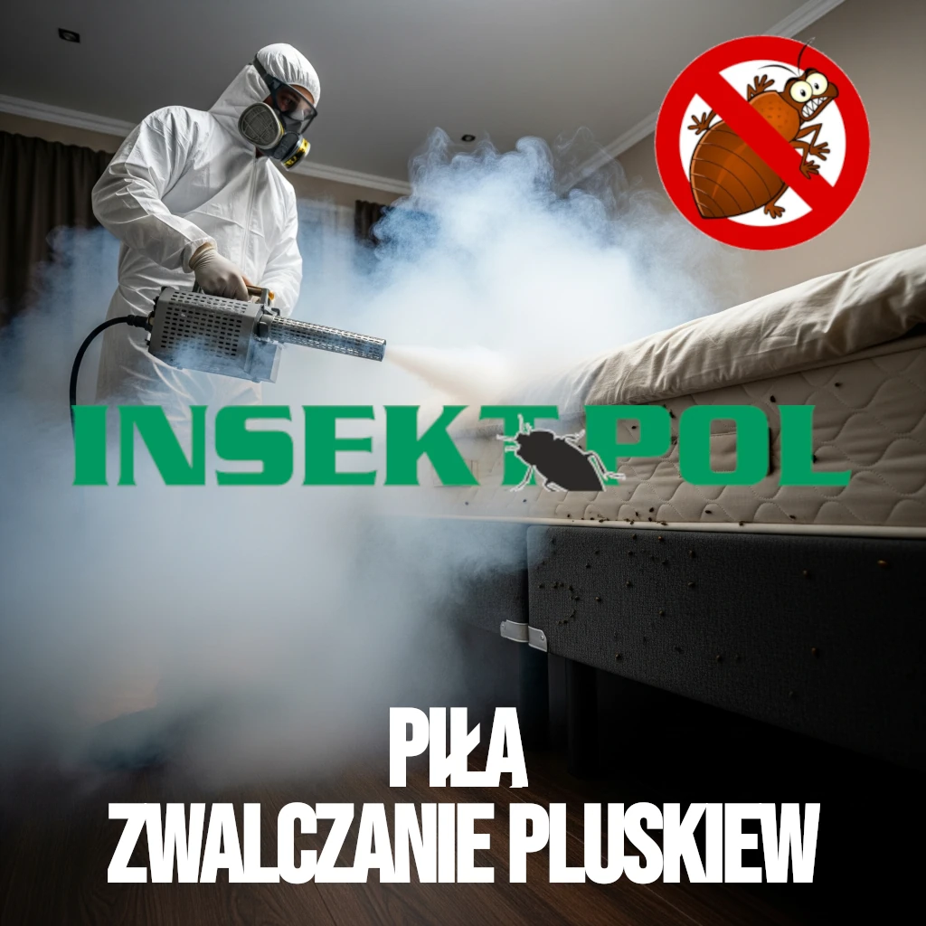 piła zwalczanie pluskiew