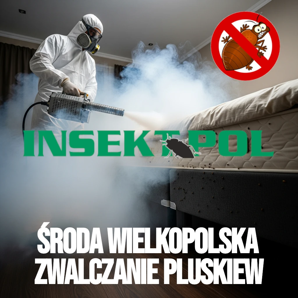środa wielkopolska zwalczanie pluskiew