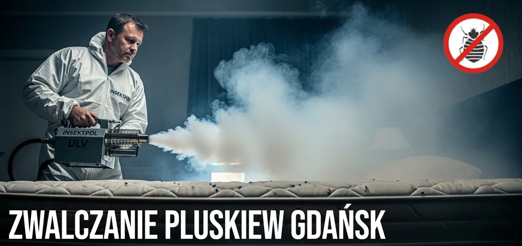 skuteczne zwalczanie pluskiew gdańsk