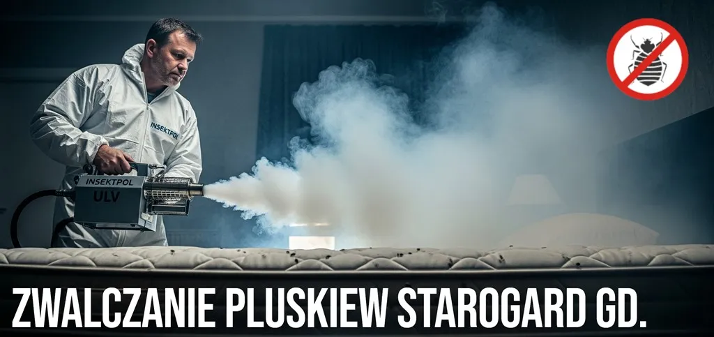 skuteczne zwalczanie pluskiew starogard gdański
