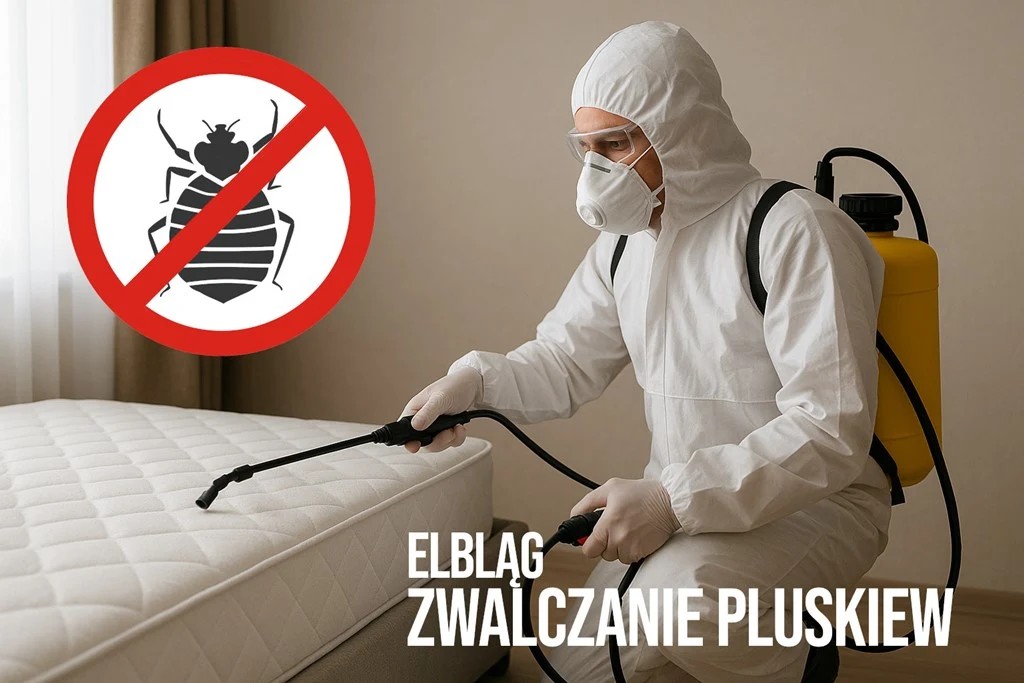 zwalczanie pluskiew elbląg