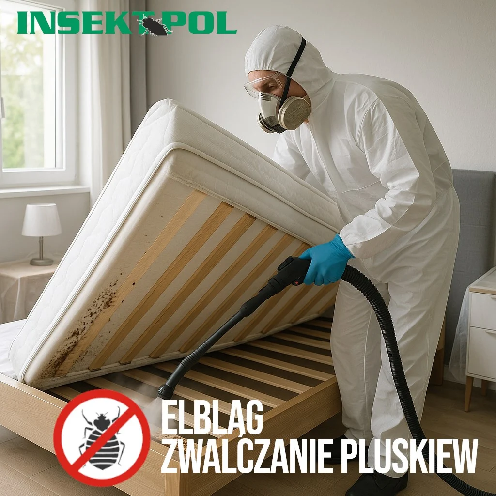 elbląg zwalczanie pluskiew