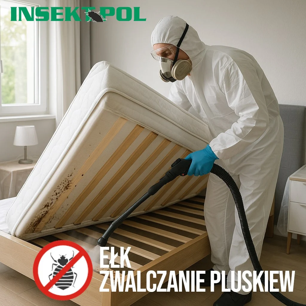 ełk zwalczanie pluskiew