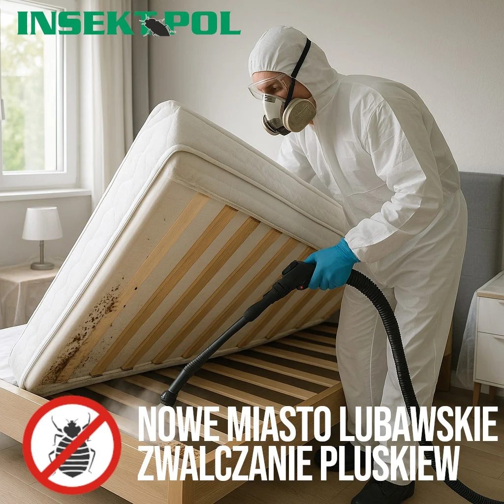 nowe miasto lubawskie zwalczanie pluskiew