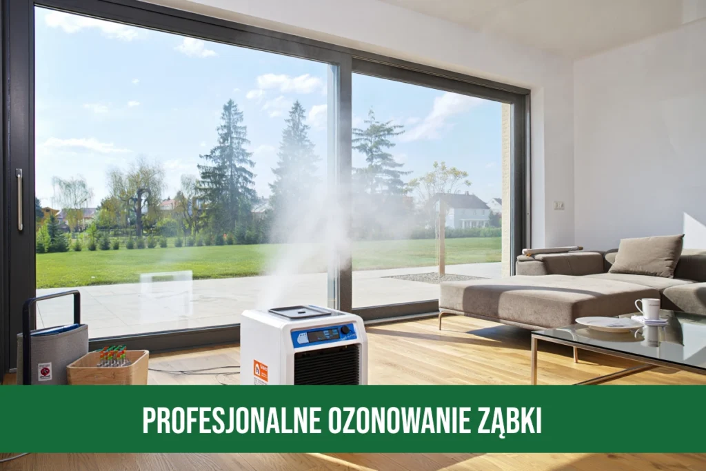profesjonalne-ozonowanie-zabki
