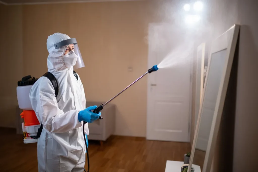 sprzątanie po zmarłym