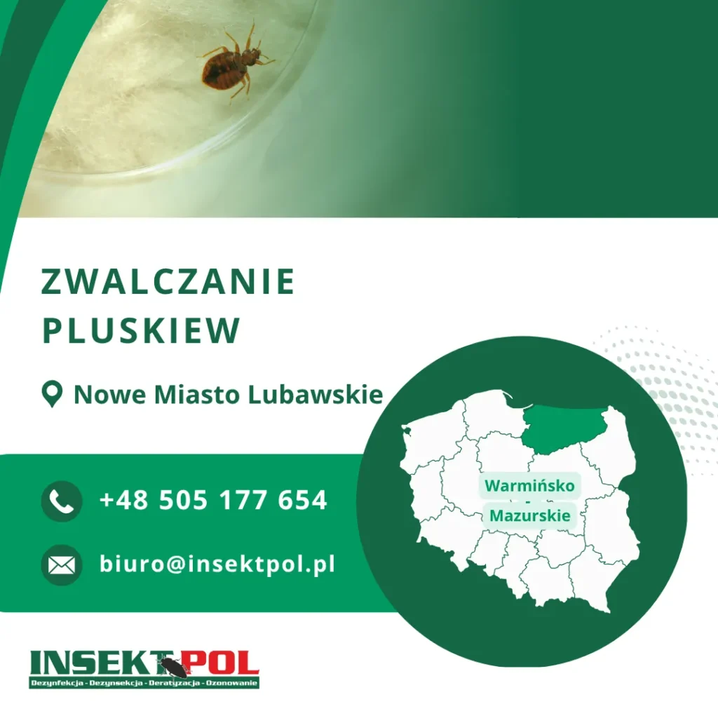 Nowe Miasto Lubawskie firma zwalczająca pluskwy