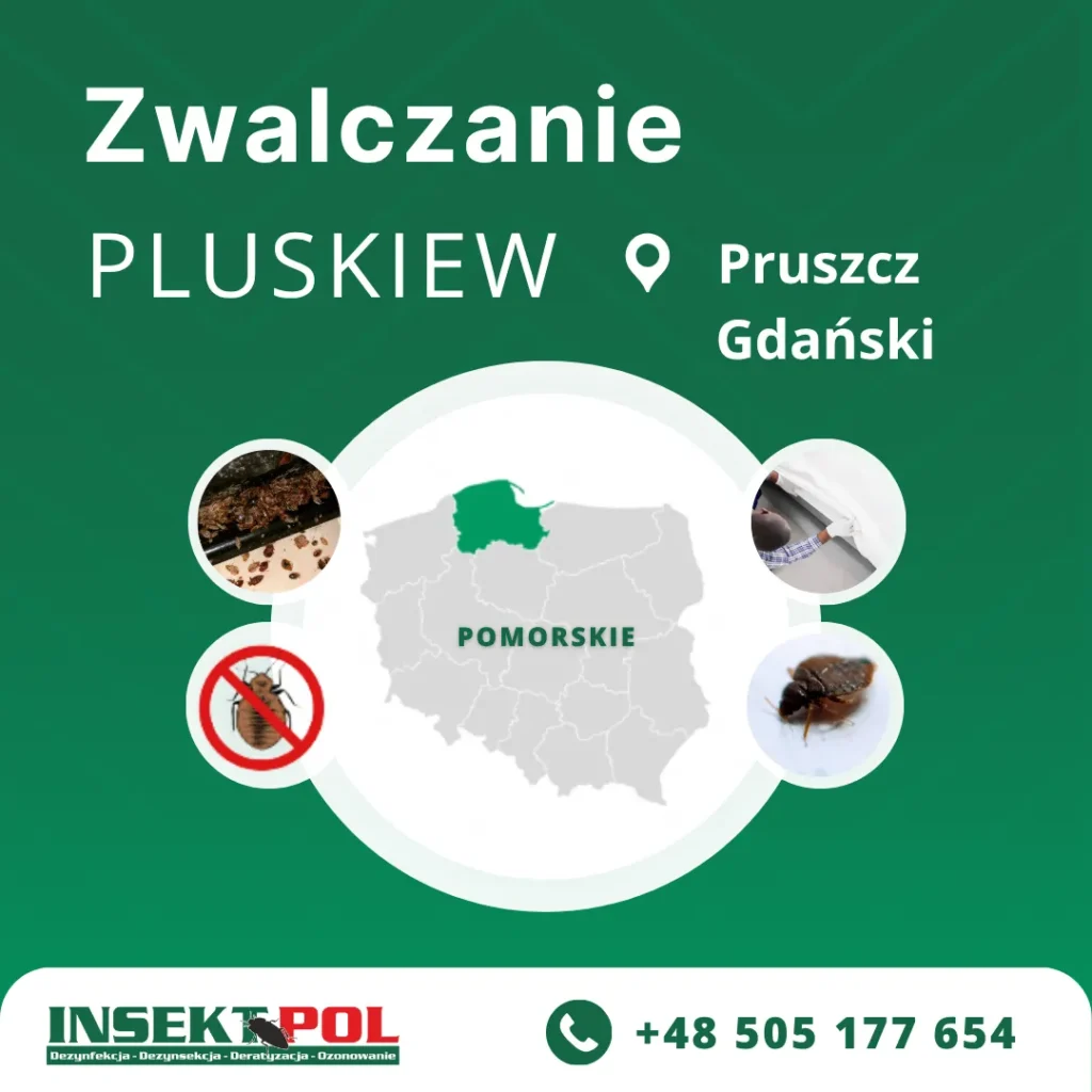 Pruszcz Gdański firma zwalczająca pluskwy