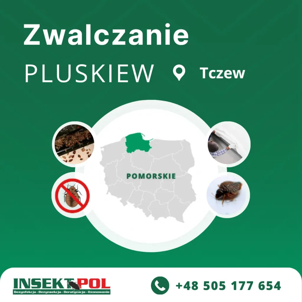 Tczew firma zwalczająca pluskwy