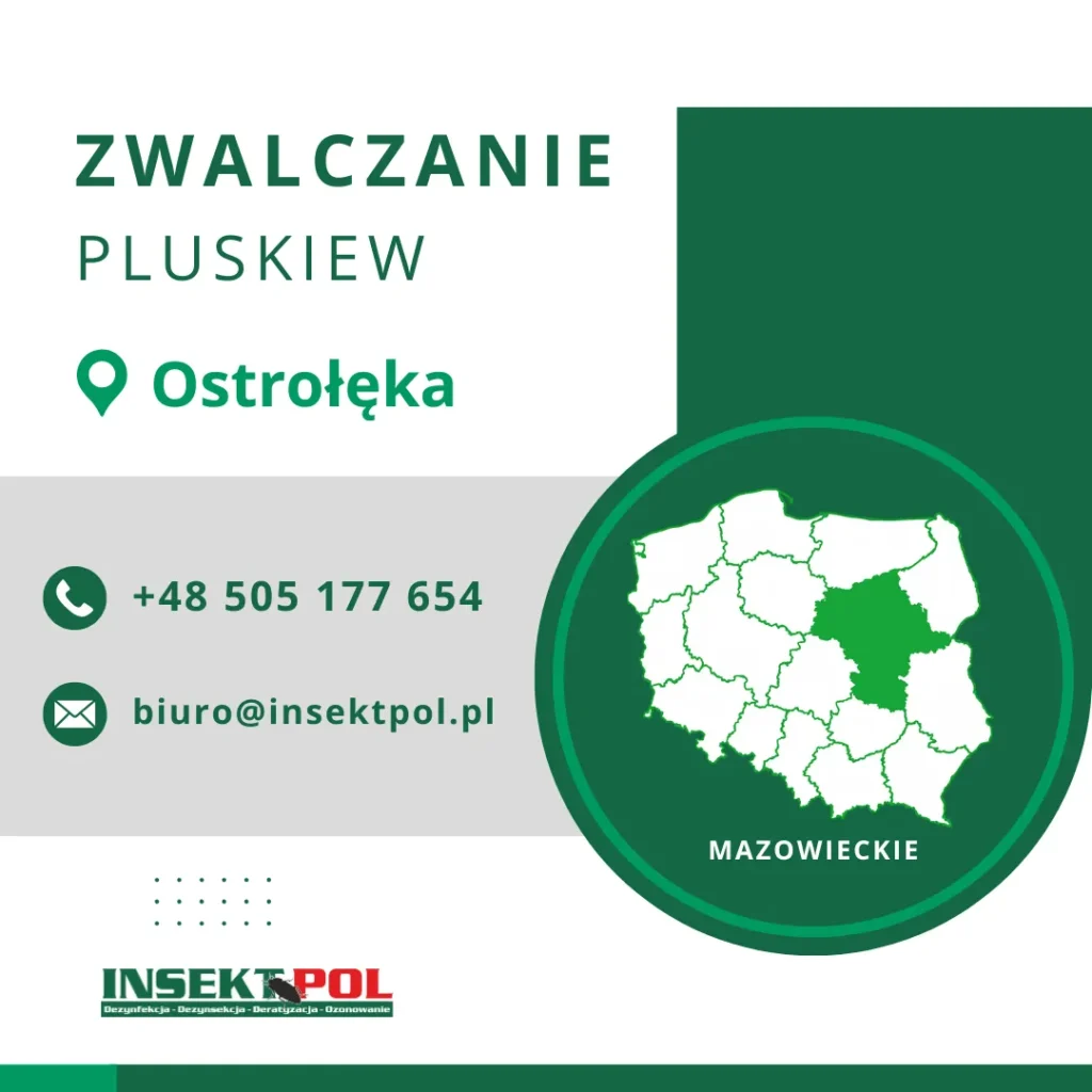 firma zwalczająca pluskwy ostrołęka