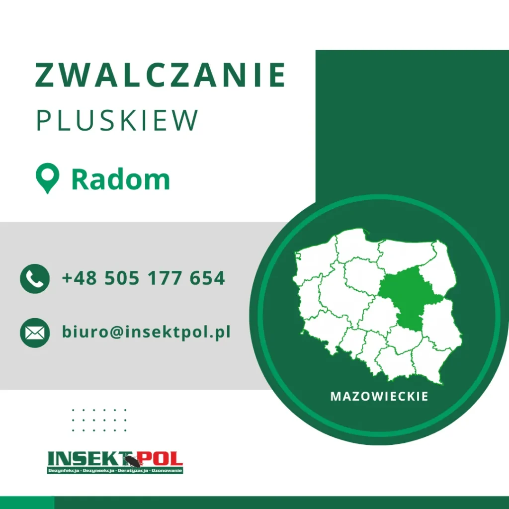 firma zwalczająca pluskwy radom
