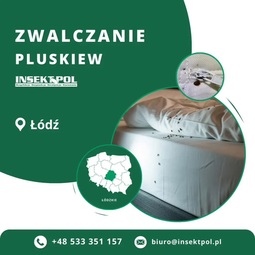 firma zwalczająca pluskwy Łódź